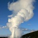 BrushBuck Old Faithful & Lower Loop Tour - Private and scenic guided tours observing the abundant wildlife & geothermal geyser basins of Yellowstone National Park. Includes Hotel pickup, snacks, refreshments, & lunch.