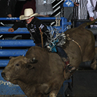 Cody Stampede Rodeo - Best in the West!