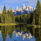 Scenic Safaris - National Park Safaris