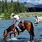 ABO Outfitters - Family Trail Rides