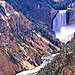 Yellowstone Alpen Guides - Yellowstone Van Tours - Family and group tours of Yellowstone with complete access to photographing wildlife and park scenery all summer long. In winter, see the sites in our historic snowcoaches.
