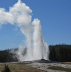 Buffalo Roam Park Tours - Small Group Park Tours