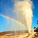 Adventure Yellowstone Year-Round Park Tours - Hands-on excursions into Yellowstone to see animals up close by hiking into their natural environs. Ideal for families, couples and photographers wanting close access.