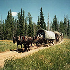 Teton Wagon Train - Western Wagon Adventure