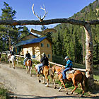 Wild West Adventures - Horseback & Cookout