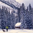 Beartooth Powder Guides - Backcountry Ski Cabin