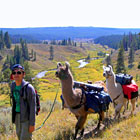 Yellowstone Llamas - Llama Pack Trips