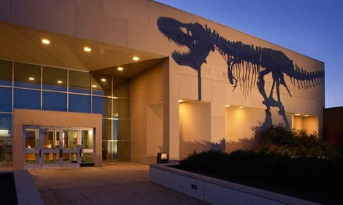 Museum Of The Rockies Dinosaurs Bozeman Montana History