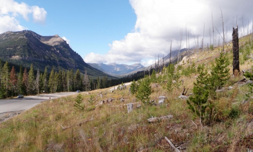 Cooke City Montana