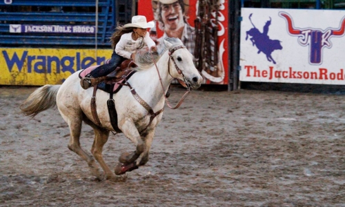 Jackson Rodeo