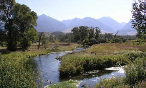 Ohair Spring Creek in Livingston