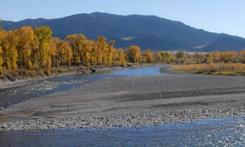Yellowstone River in Livingston