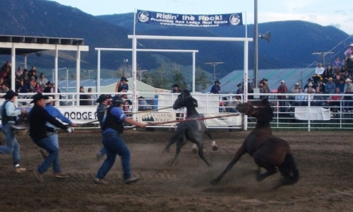 Home of the Champs Rodeo Red Lodge