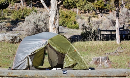 Mammoth Hot Springs Campground