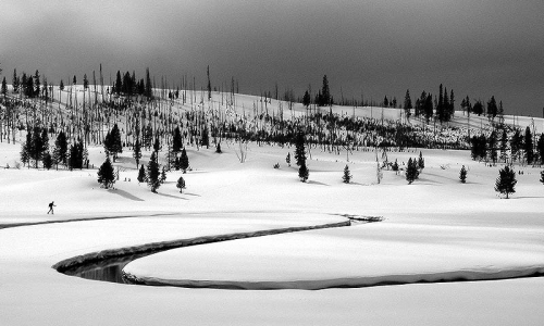 Cross Country Skiing Backcountry Skiing Bighorn Pass Trail Yellowstone National Park Wyoming
