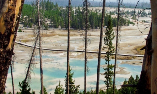 Norris Geyser Basin Yellowstone