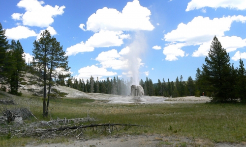 Lonestar Geyser Yellowstone