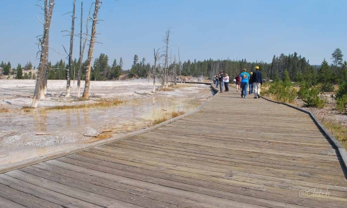 Boardwalk to Fountain Paint Pots in Yellowstone