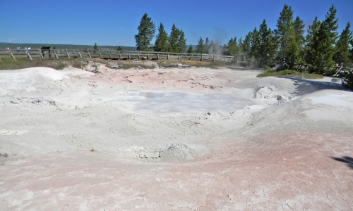 Fountain Paint Pots in Yellowstone