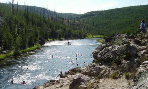 Hot Springs Yellowstone Firehole River Swimming