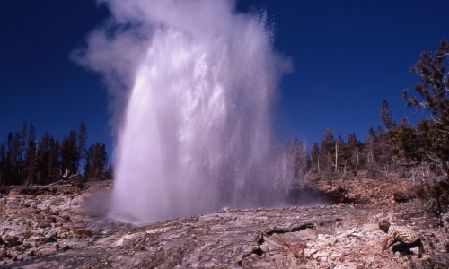 Steamboat Geyser Yellowstone