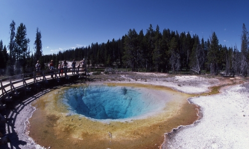 Morning Glory Pool in the Upper Geyser Basin Yellowstone National Park