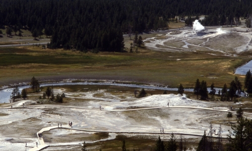 View from Observation Point - Yellowstone Upper Geyser Basin