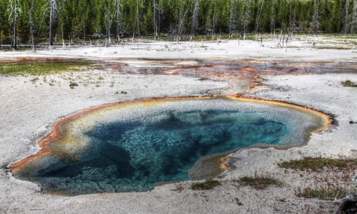 Biscuit Basin Hiking Trail Old Faithful Geyser Basin Yellowstone National Park Wyoming