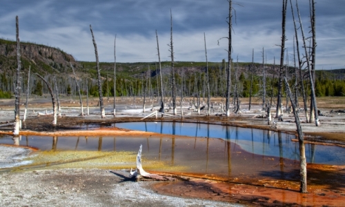 Opalescent Pool in Black Sand Basin in Yellowstone
