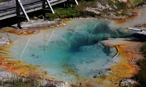 West Thumb Geyser Basin in Yellowstone