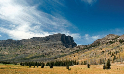Yellowstone National Park Wyoming Hiking Trail Tower Roosevelt Pebble Creek Trail Cutoff Mountain