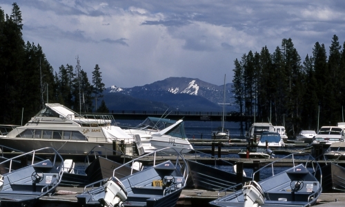 Bridge Bay Marina Yellowstone Lake