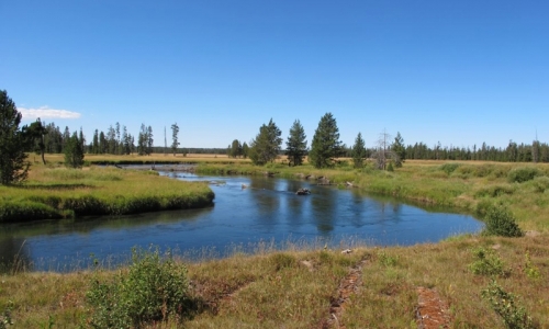 You won't find a better image of fly fishing river