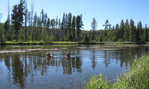 Yellowstone Swimming Firehole River