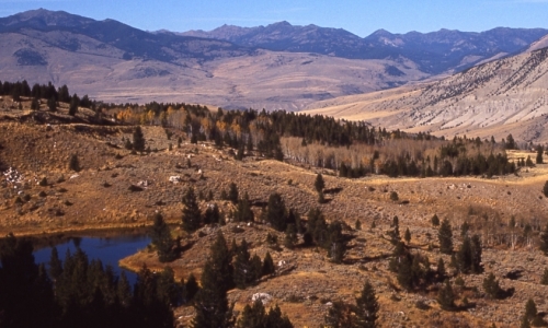 Gardner River Yellowstone