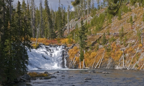 Yellowstone Waterfalls Lewis Falls