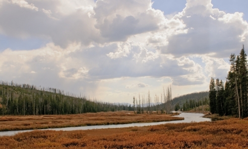 Yellowstone Rivers Lewis