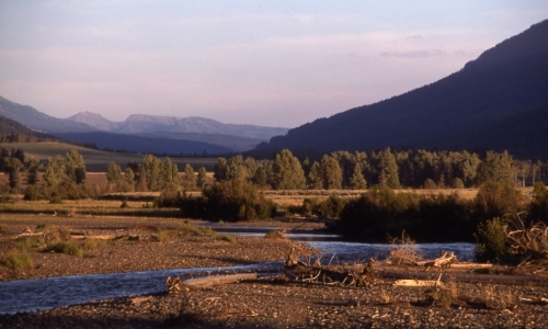 Lamar River Yellowstone Park
