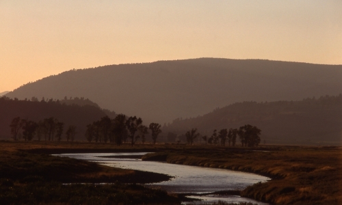 Lamar River Yellowstone