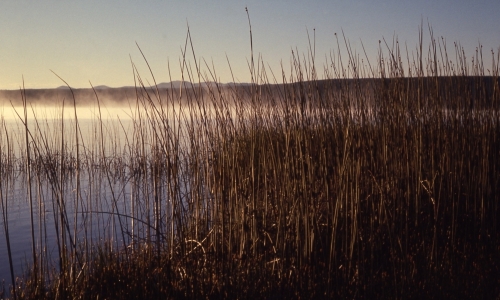Shoshone Lake Yellowstone