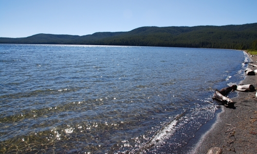 Shoshone Lake