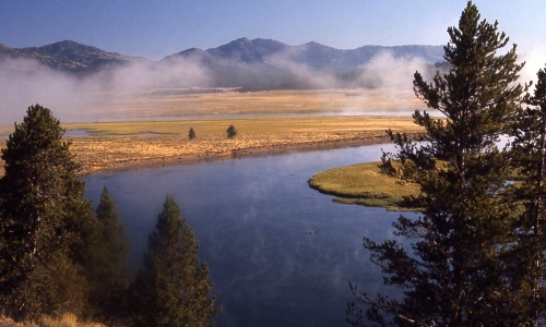 Yellowstone River Hayden Valley