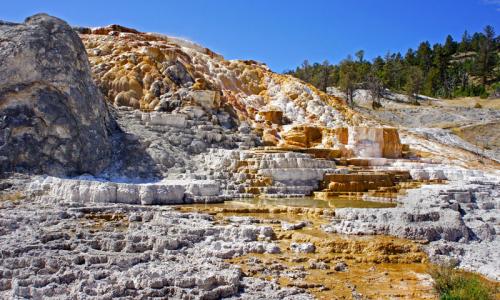 Mammoth Hot Springs in Yellowstone