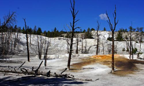 Mammoth Hot Springs in Yellowstone