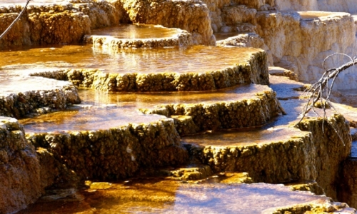 Mammoth Hot Springs