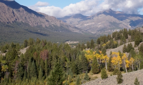 Sunlight Basin Montana