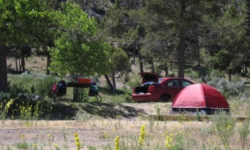 Mammoth Hot Springs Campground Yellowstone
