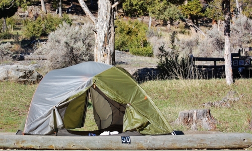 Mammoth Hot Springs Campground