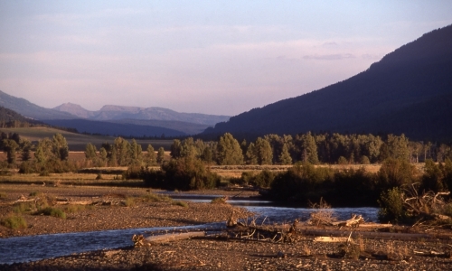 Lamar Valley Yellowstone Park
