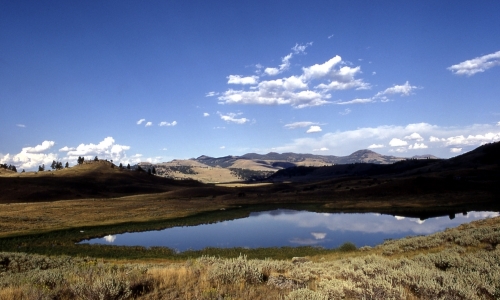 Lamar Valley Yellowstone